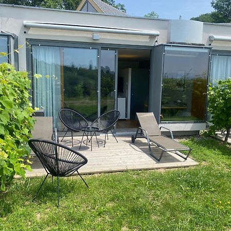 *Brandnew* Modernes Apartment In Den Weinbergen Mit Pool Und Sauna Spielfeld Ngoại thất bức ảnh