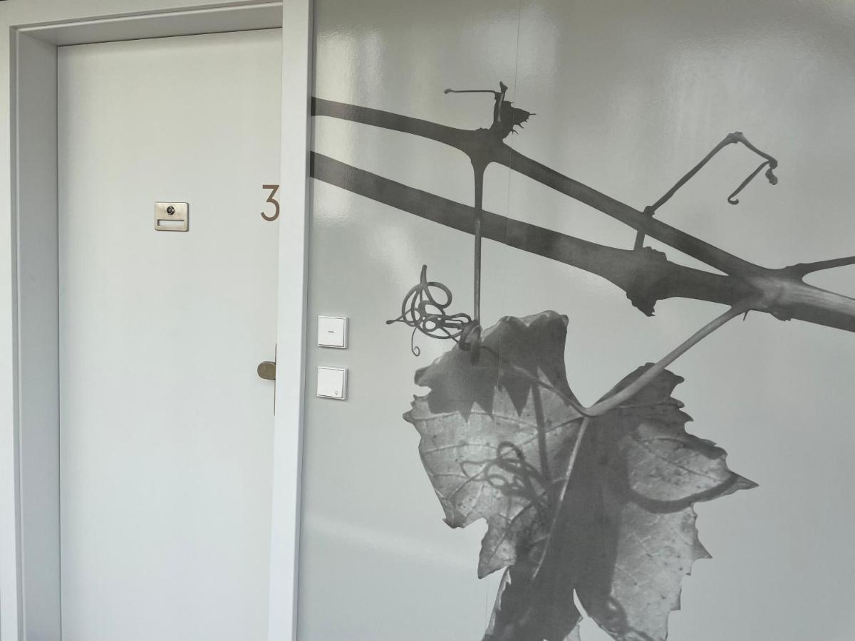 *Brandnew* Modernes Apartment In Den Weinbergen Mit Pool Und Sauna Spielfeld Ngoại thất bức ảnh